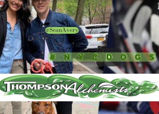 Sean Avery, Rangers, nyc, thompson street, thompson chemists,