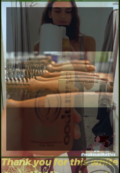 Thompson Alchemists Round Pure Bristle Hair Brushes