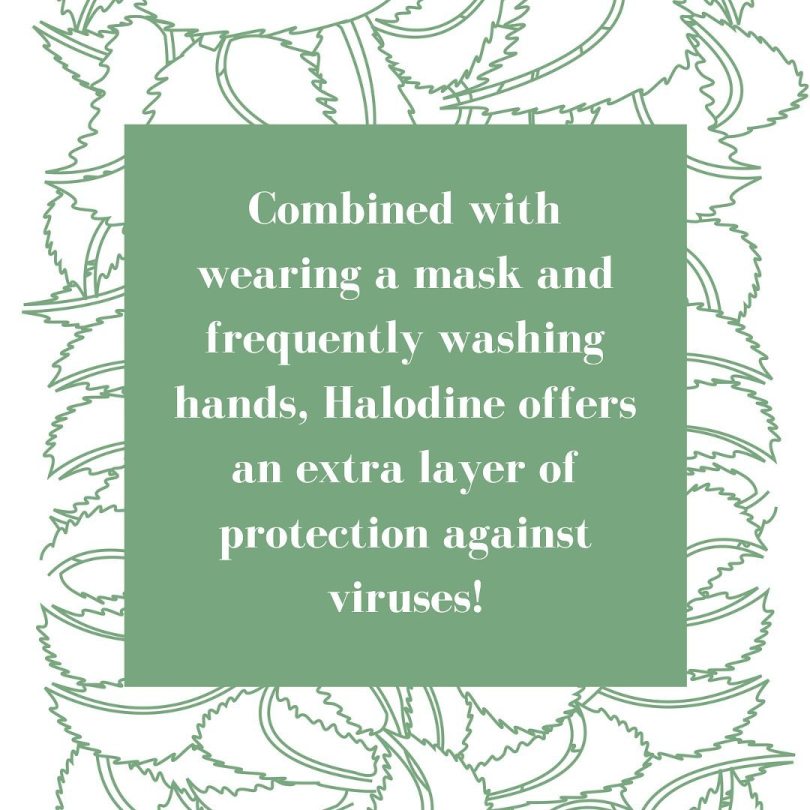 Halodine Nasal Swab Available at Thompson Chemists