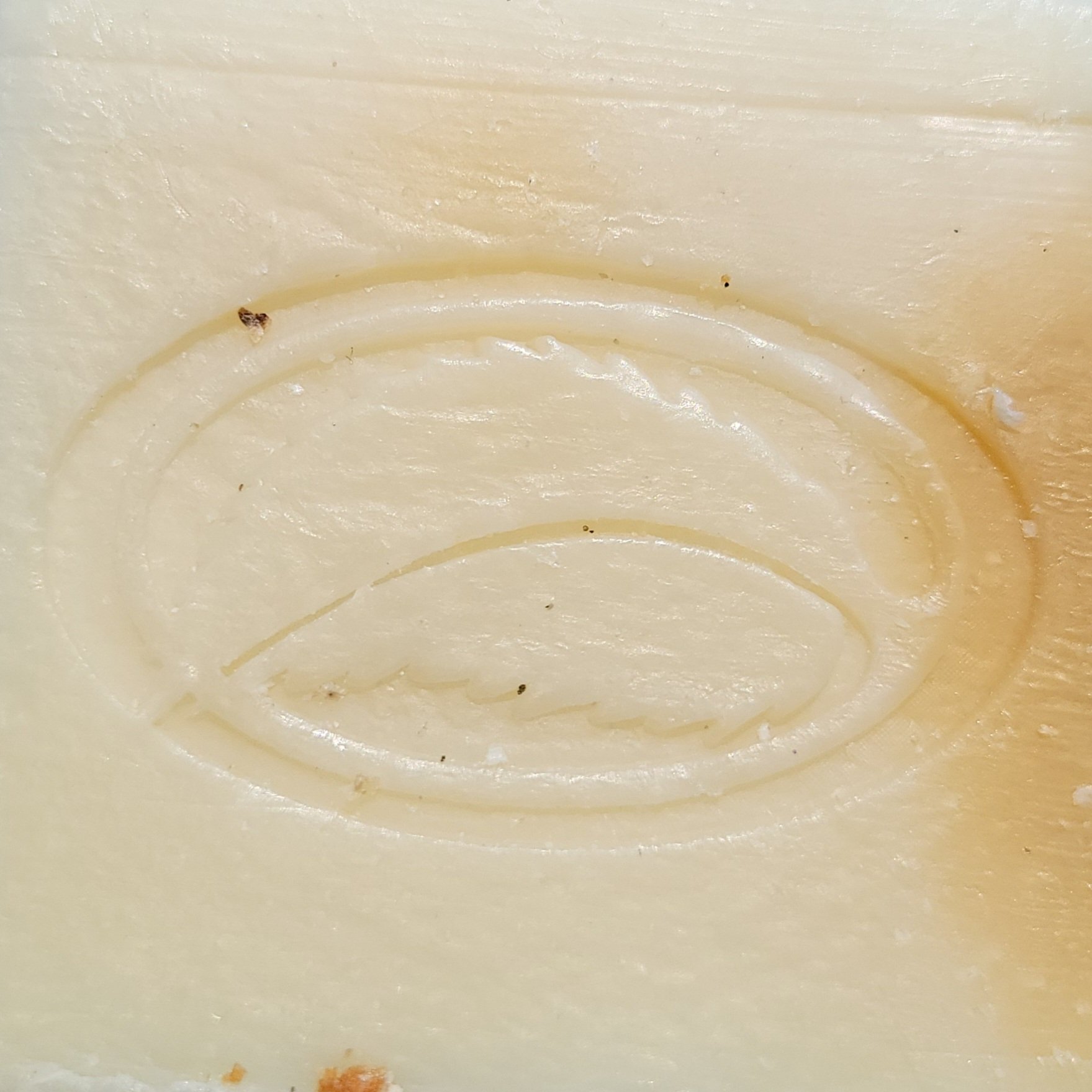 thompson alchemists soap