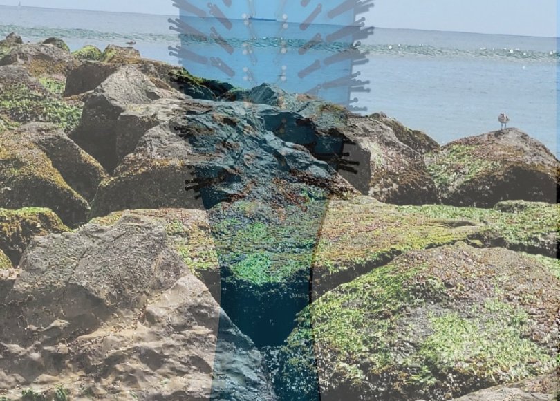 detangling nylon bristle brush